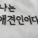 나는애견인이다