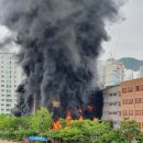 서울은명초등학교 이미지