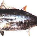 천보수산 이미지