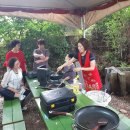 숲속에 우산정원 이미지