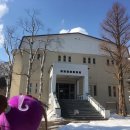 하이카동백점 | [일본워홀 D+358/홋카이도 여행 D+1(1)::하코다테 아침시장/카이센동/노면전차/고료가쿠타워/밀키시모...