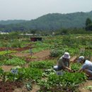 고양농장 이미지