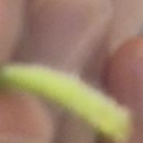 삼산회관 부산동래롯데점 이미지