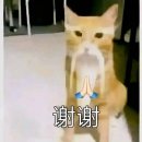 예원화장품 | [상하이 여행] 왕홍 체험 ｜ 예원 Yujian Hanfu 체험 후기