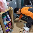 싹잡아방역 이미지