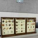 휴일 | 강아지 찜질방 부산 휴일도 방문 후기