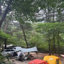 마가리 | 평창 마가리 캠핑장 솔직 후기 - 여름 계곡 캠핑 2박 추천 / 전기 O / 샤워실 만족도 최고.