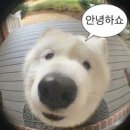 (주)모음