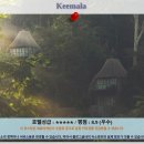 폭스 무에타이 | 푸켓 여행 추천! 럭셔리 푸켓 호텔 Keemala 후기