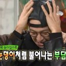 로얄액자 | 스냅 소프트보울 계약 후기/ 디카, 폴라로이드, 폴라이미지 액자 아이폰 스냅 (로얄파크컨벤션 파크홀)