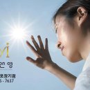 모앤영 김포장기점