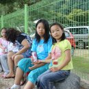 수항초등학교 이미지