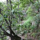 도마치계곡 이미지