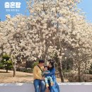 충혼로-1 | 창원 충혼탑 목련 3월 꽃구경 가볼만한 곳 실시간 개화 주말 주차 후기