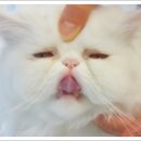 구서동물병원 이미지