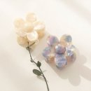 H0843 쇼핑하우
