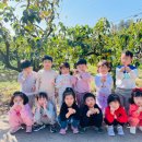 연세자연유치원 이미지