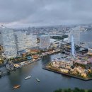 자스민 동물병원 이미지