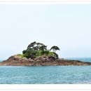 솔섬 이미지