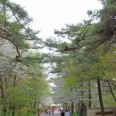 황제여관(황제모텔) | 덕숭산 수덕사, 예산 여행 가볼만한곳 남연군묘, 가야사지 등 6선