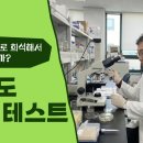 메디풀(Medipool) 이미지