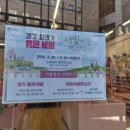 (주)노리통 네이버블로그
