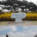 수원-1997 이미지