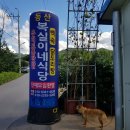 복실이네 애견 이미지