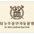 강남동물병원 이미지