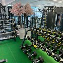 바디찬스짐 이미지