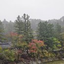 만해마을 청소년수련원 | 백담사 셔틀버스 운행 시간 및 요금, 만해마을 인제 가볼 만한 곳