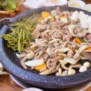 오리사냥 이미지