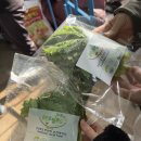 현종농장 이미지