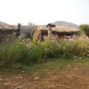 정오농장 이미지