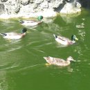 천우화원 이미지