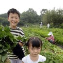 이재혁 농장 이미지