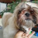 서원동-10 이미지