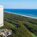 BLACK PINE RESORT 이미지