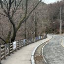 비슬산휴양림주차장 | 대구 인근여행 비슬산 얼음동산 축제 자연휴양림 가는법 주차장 후기