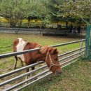 한우드림제2농장 이미지