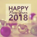 꽃길걷개 이미지