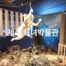 제주 해녀의 물옷과 물질도구(15점) | 제주 해녀박물관 입장료 전시실 가성비 좋은 후기