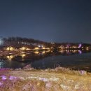 충주행정사사무소 이미지