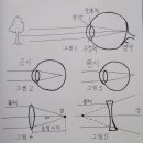 노안을 관리하는 방법 (내용이 많이 길어요) 이미지