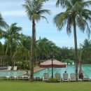 보나컴퍼니 이미지