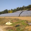 당진시 농업기술센터 북부지소 이미지