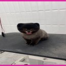 이쁘개몽 이미지