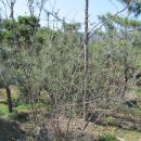 인근농장 이미지