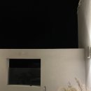 스테이뵤뵤 | 제주도 한경면 숙소 감성스테이 펜션 646미터퍼세크/ 자쿠지와 오션뷰 최고