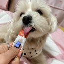 네일츄르 이미지